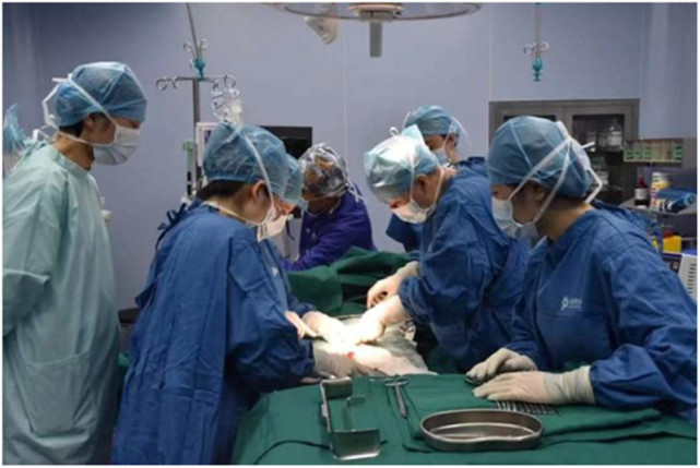 "网红院长"朱玉英:"空中诊室"令孕产妇放心安心