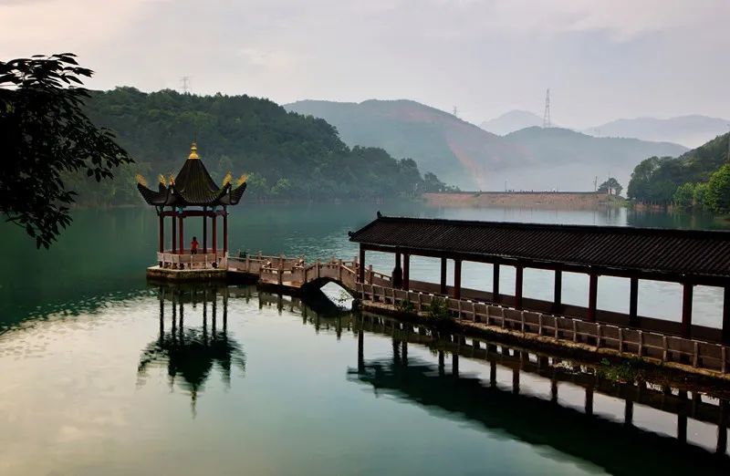 好消息!温州市54家旅游景区景点向全国游客免费开放