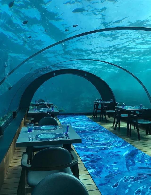陈乔恩和男友游马尔代夫,艾伦安排在世界最大海底餐厅用餐,超浪漫