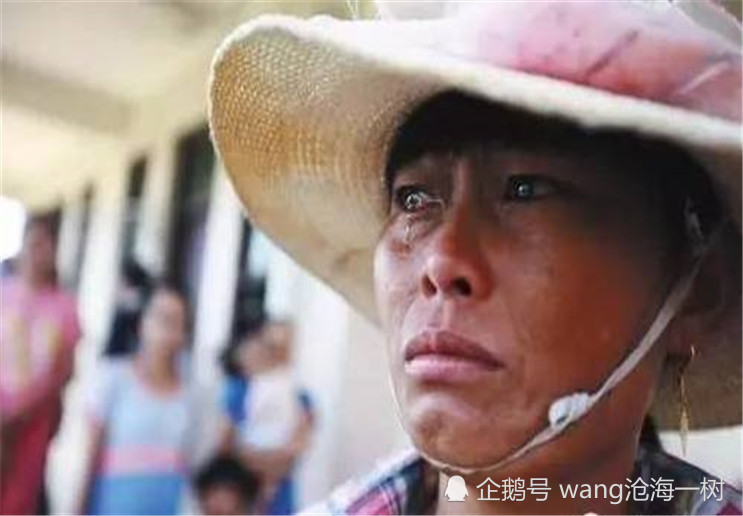 田里粮食大丰收,为什么农民哭了?心底的苦有谁知道