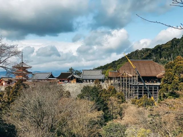 京都清水寺大舞台修复已接近完工 今春将以全新面孔迎接游客 清水寺 京都