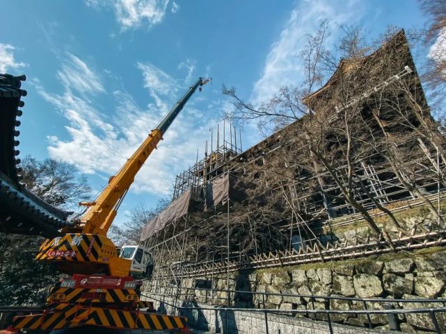 京都清水寺大舞台修复已接近完工 今春将以全新面孔迎接游客 清水寺 京都