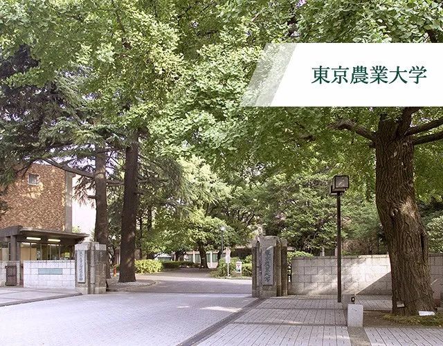 日本名校之东京农业大学 腾讯新闻