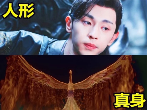 香蜜人形vs真身:旭凤是凤凰,锦觅是霜花,看到鎏英甘拜下风