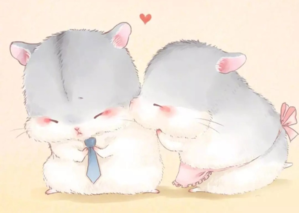 :《第一侯》《金粉》《盛芳》《农家小福女》