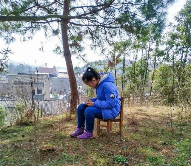 身处偏远地区网络信号差初中女生把空中课堂搬到后山松树下