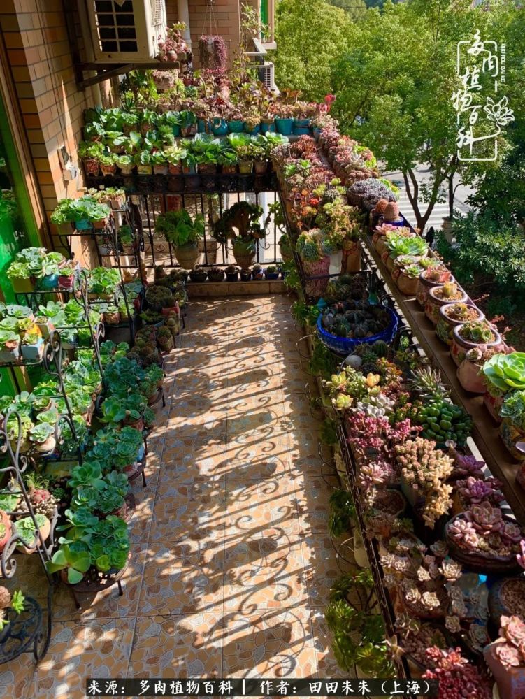 守家老友肉 健康 是生命的底色 腾讯新闻