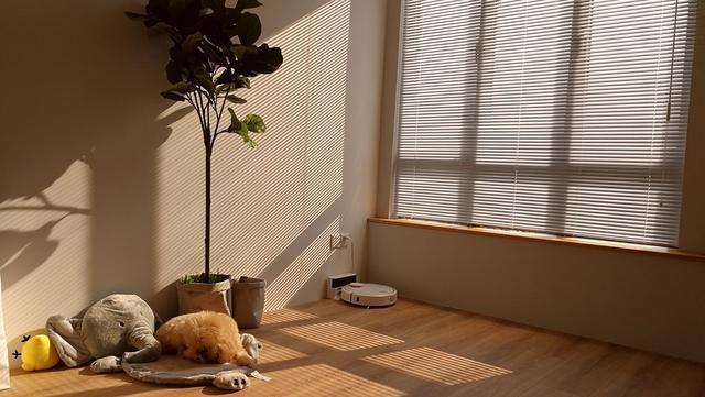 喜欢阳光透过百叶窗照进来的样子,家里所有窗户都是装的百叶窗帘