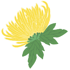 北京植物园|带娃去北京植物园赏菊，知道这些够用了！