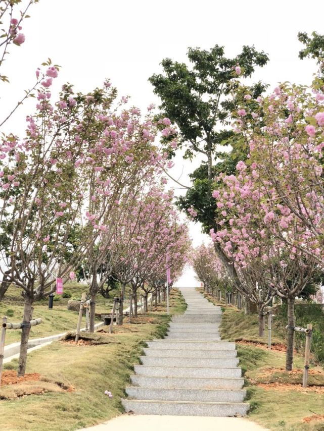 揭西縣重點景區今年向這一群體免費開放