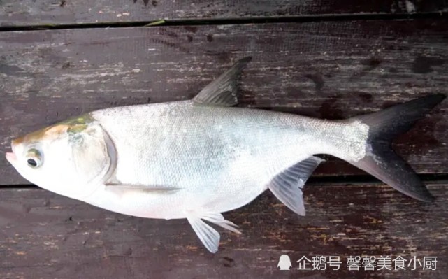 松炸鱼条 食材: 白鲢鱼, 调料: 鸡蛋清50克,胡椒粉,料酒, 葱,姜,味精