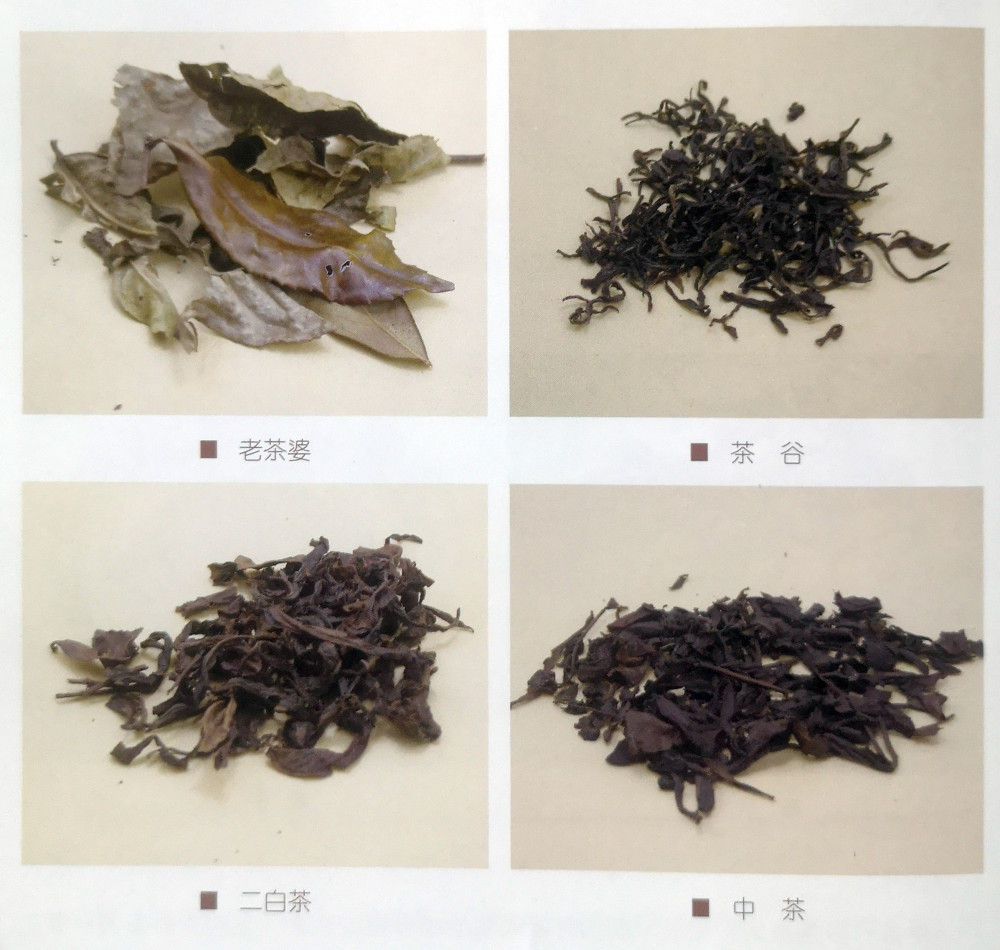 茶谷(茶芽),中茶(或二白  茶),只不过霜降老茶婆因其"粗老"千茶形状