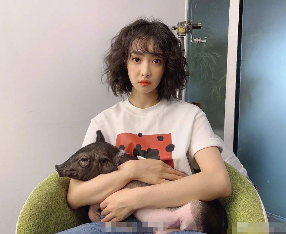 狗狗|萧敬腾豪宅内抱狗玩耍，与狗狗拥抱嘴对嘴接吻太亲密引热议