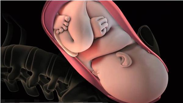 如果孕妇出现这三种变化 恭喜你 胎儿已经入盆了 腾讯新闻