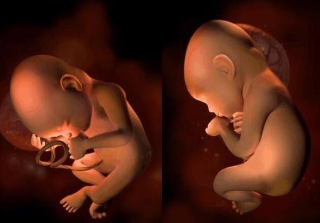 胎儿入盆的肚子照片图片