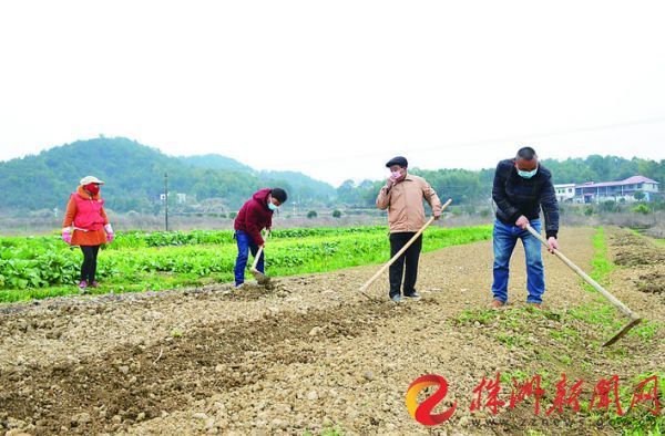 雨水節氣已至 株洲農民開始春耕備耕