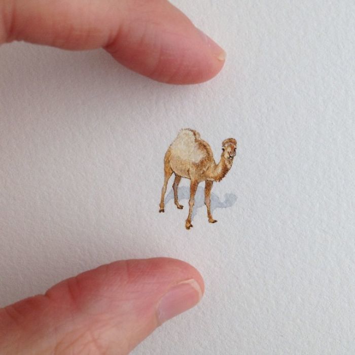 看完这组"微型画"后,我又近视好几度,眼神不好的请绕道