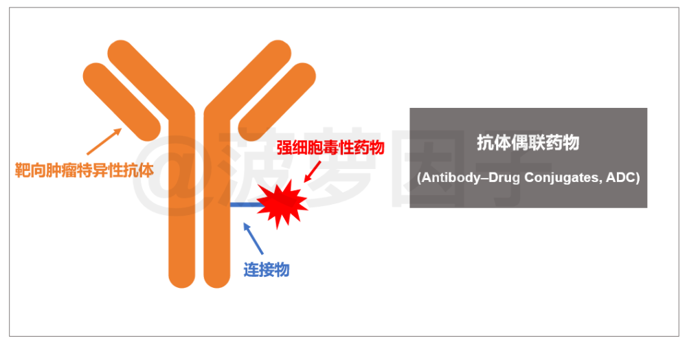 重磅 T Dm1获批 中国首个adc类靶向抗癌药来了 腾讯新闻
