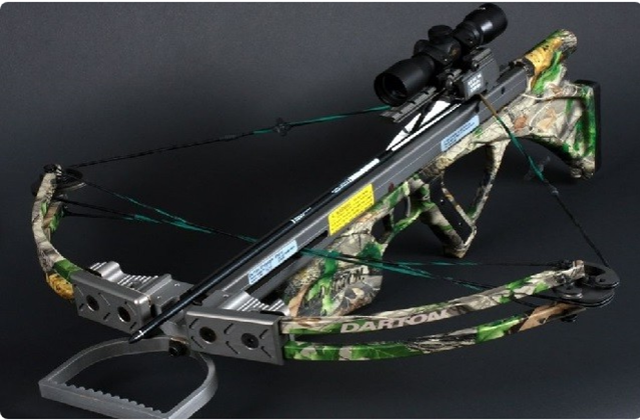 全球3大最强弓弩:第1能将犀牛头骨打碎,第2价值20万一把