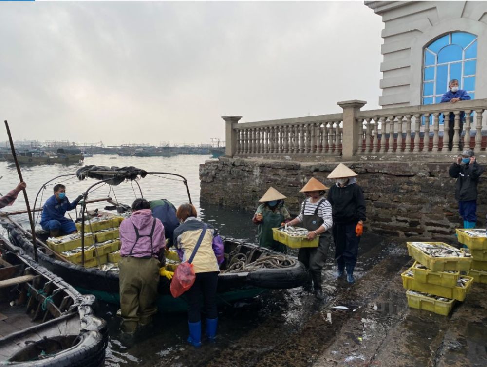 在春天裡漸漸復甦的企沙漁港發出了想吃的聲音