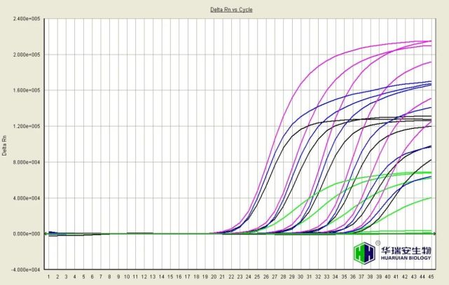 (华银医药新冠病毒核酸检测冻干试剂扩增曲线图)病毒无国界,新冠肺炎