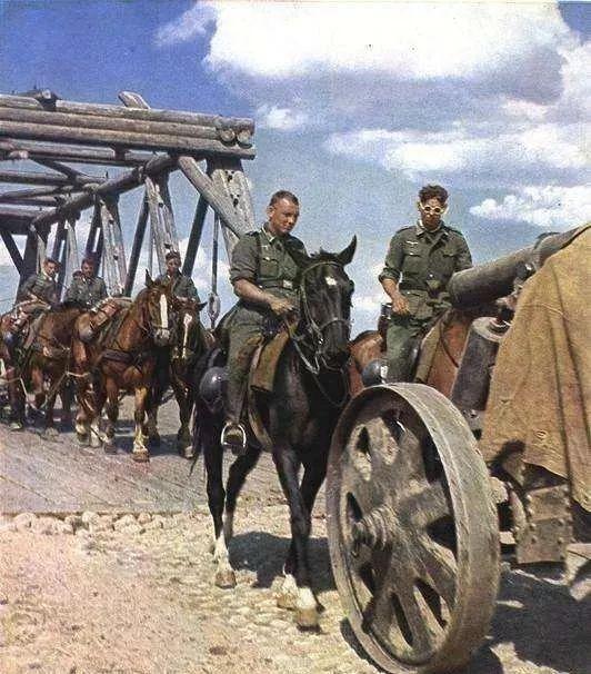 德军用骡子运物资德军用骡子拉马车实际上,德军高层在制定进攻苏联的