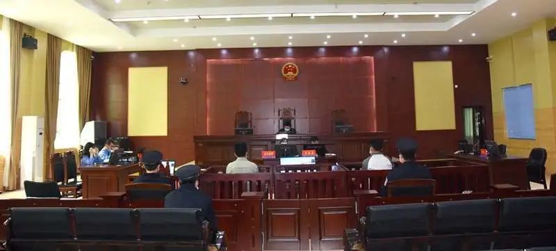 广西林业厅 绿会为穿山甲死因诉广西林业开庭审理 | 草菅甲命，我们要事实真相