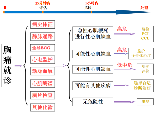 胸痛分類植物神經功能紊亂胸壁腫瘤帶狀皰疹其它原因膽絞痛食管蒲裂