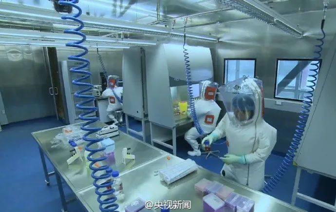 p4实验室大自然魔鬼的囚室病毒研究的航母