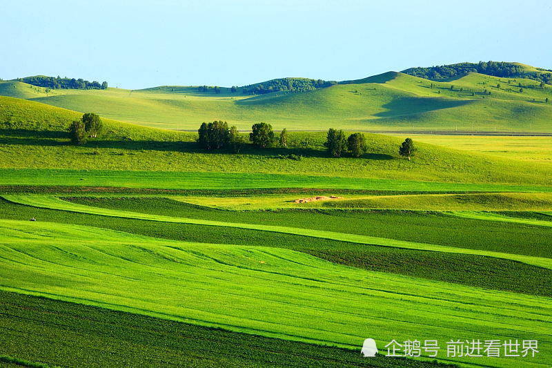 我国陆地面积最大的10个省份，华东无缘上榜，第一占六分之一