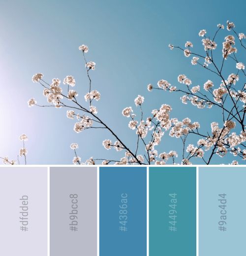 春意盎然的色彩搭配方案