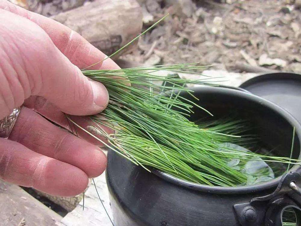 过去农民捡来当柴烧殊不知价值十分高如今出口日本成高端货