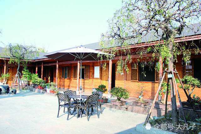 加上一些电视剧的潜移默化,这时农家乐就是好多想创业朋友的不二选择