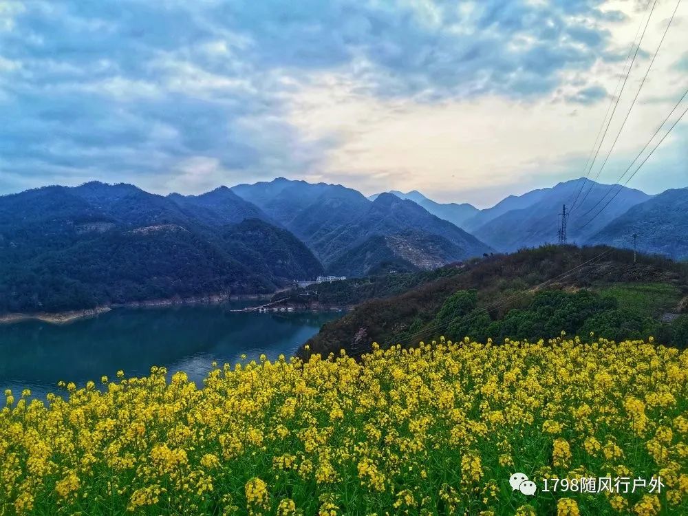 捕蜂捉影新昌沃洲湖的春天好美