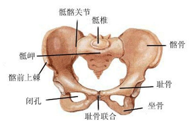 拥有这两个特征的孕妈 生孩子会更快 看看自己是不是幸运的一个 腾讯新闻