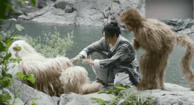 漳州一男子野外捕鸟,栽了