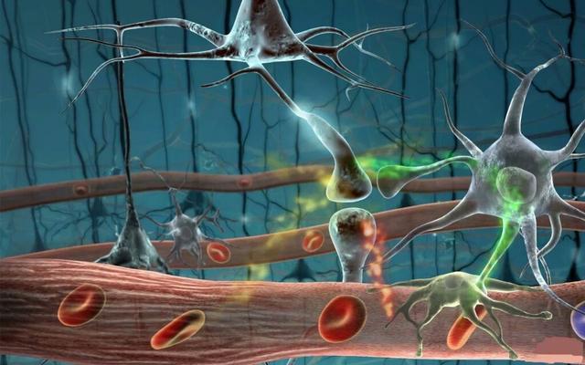 免疫系统是如何应对病原微生物入侵人体的?细胞的战争!