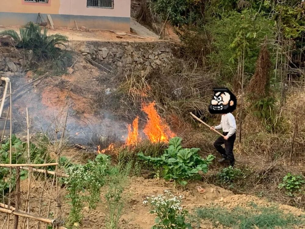 定南历市镇依法处置一起野外用火行为