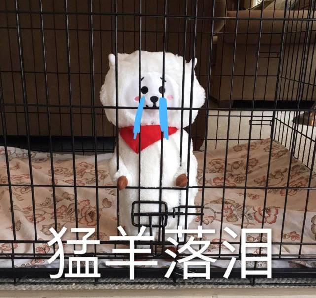 猛男必看,猛女落泪:可爱小羊表情包