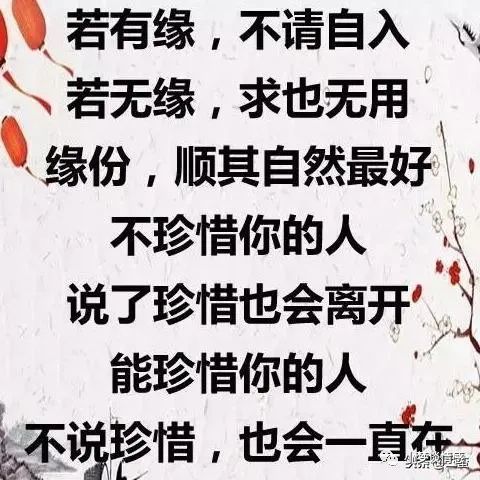 与你相遇,是最美的缘分(经典)