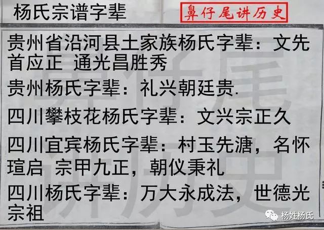 艾灸学习网讯:杨氏族谱辈份字辈,欢迎补充!-艾灸品牌-艾灸学习网