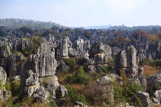 中国五大绝美的石林奇特的喀斯特地貌看尽大自然的鬼斧神工