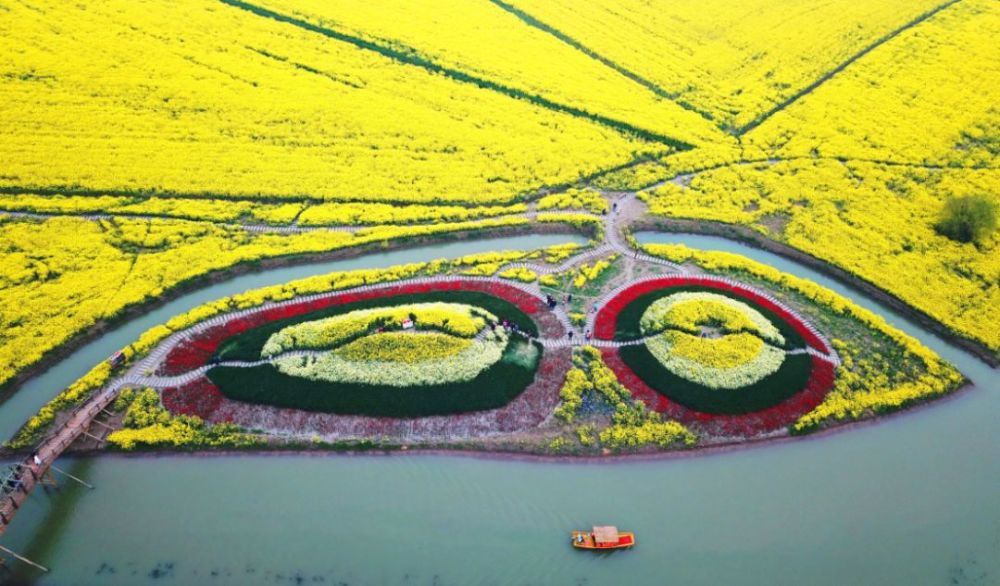 高邮·湖上花海3月18日正式开园,扬州市民免费入园!