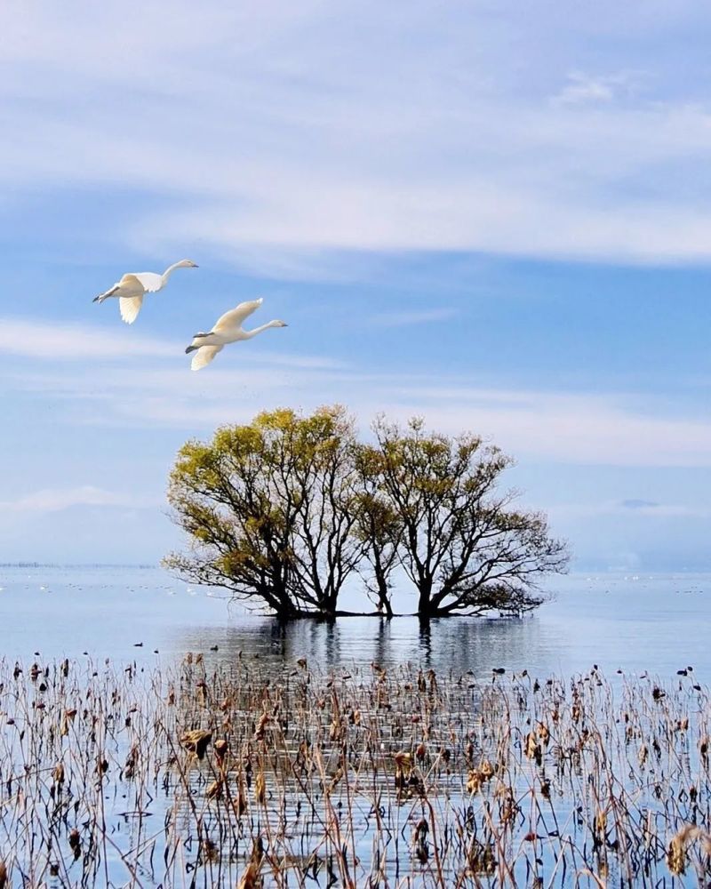 我的家园美极了