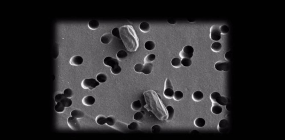 飞沫则飞得较远,且会在空气中迅速蒸发变小,形成干燥的飞沫核(气溶胶)