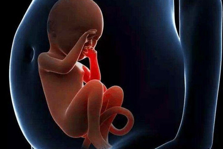 怀孕35周,夫妻"忍不住"致宝宝出生,医生的话让丈夫下跪痛哭