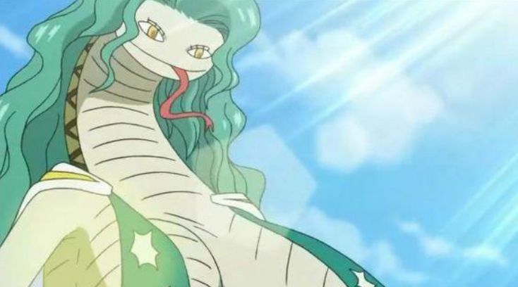 海贼王 动物系恶魔果实能增强身体能力 但幻兽种更偏向超人系 腾讯新闻