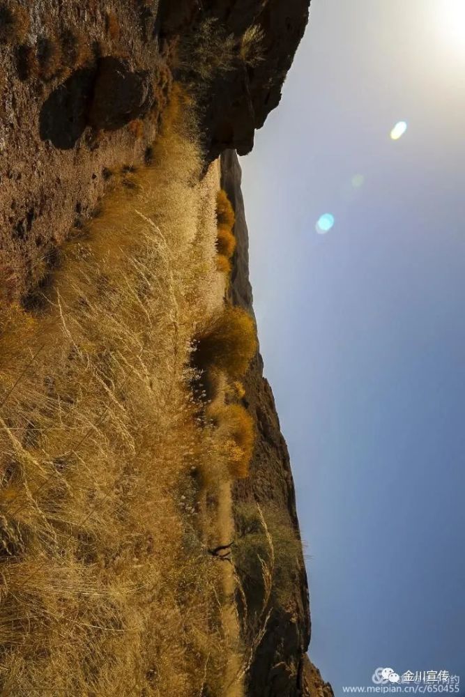 带你领略泉沟的春夏秋冬疫情过后一定要去