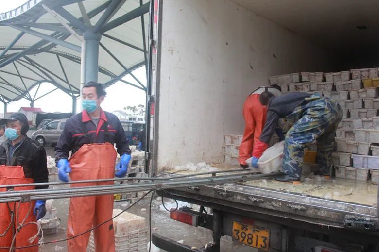 吕四春后第一汛满屏的海鲜味你闻到了吗