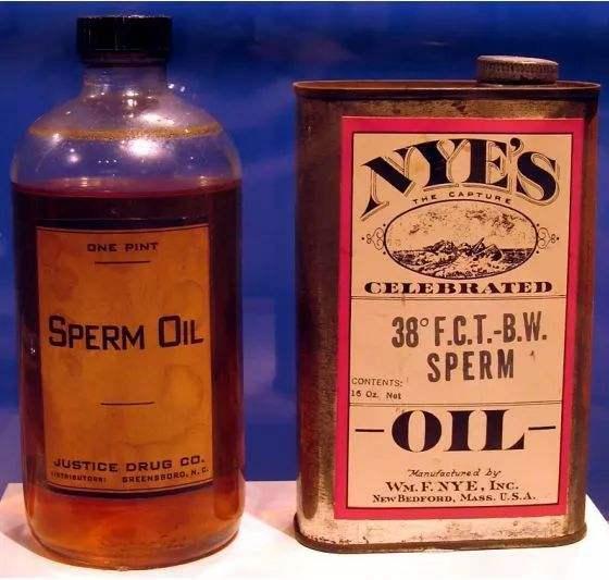 为什么捕鲸业会在19世纪盛极一时